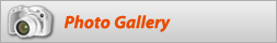 photo gallery